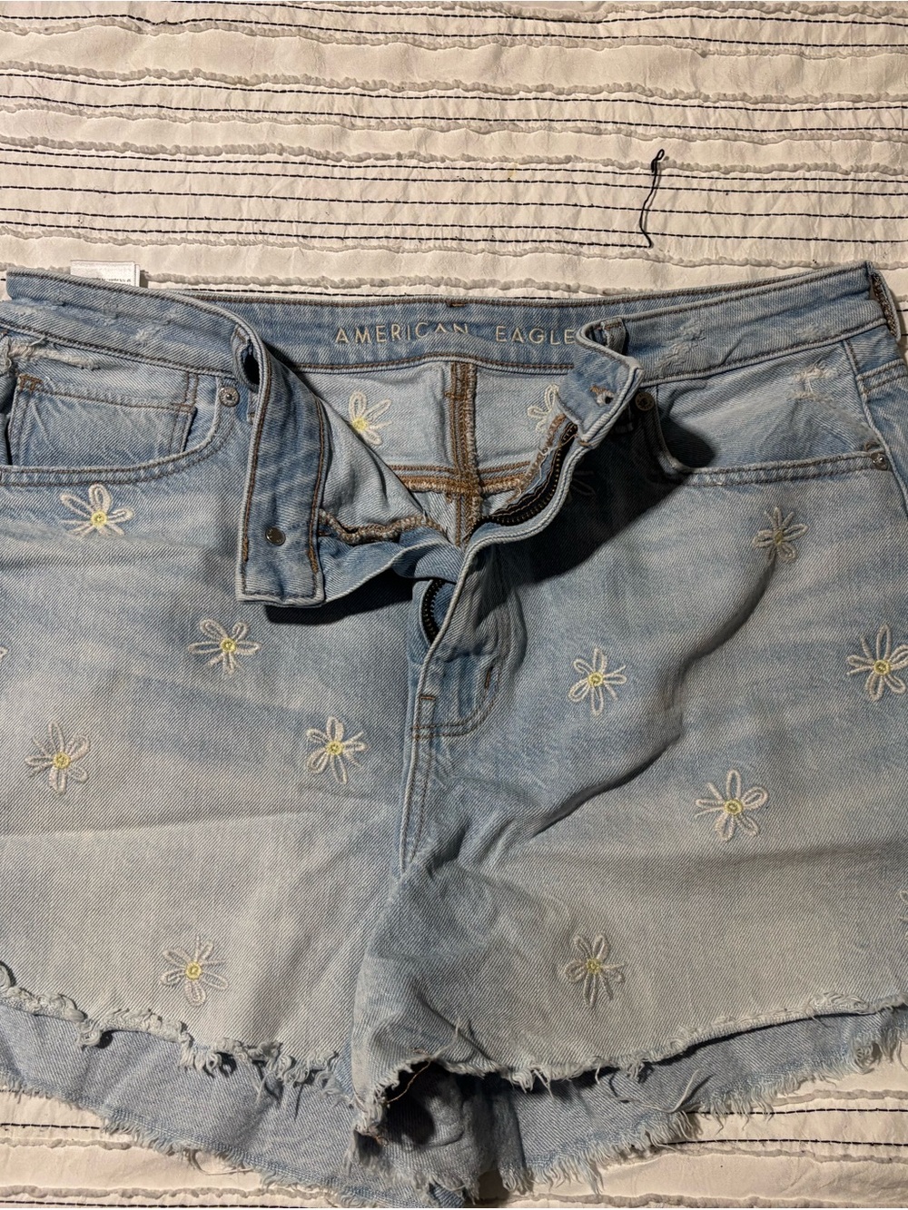American Eagle Outfitters Light Blue Daisy Embroidered Jean Shorts